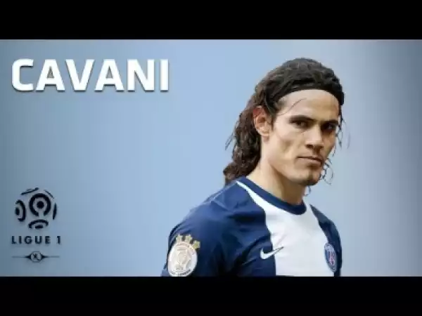 Video: Edinson Cavani - All 16 Goals - 2013-2014